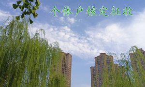 个体户核定征收